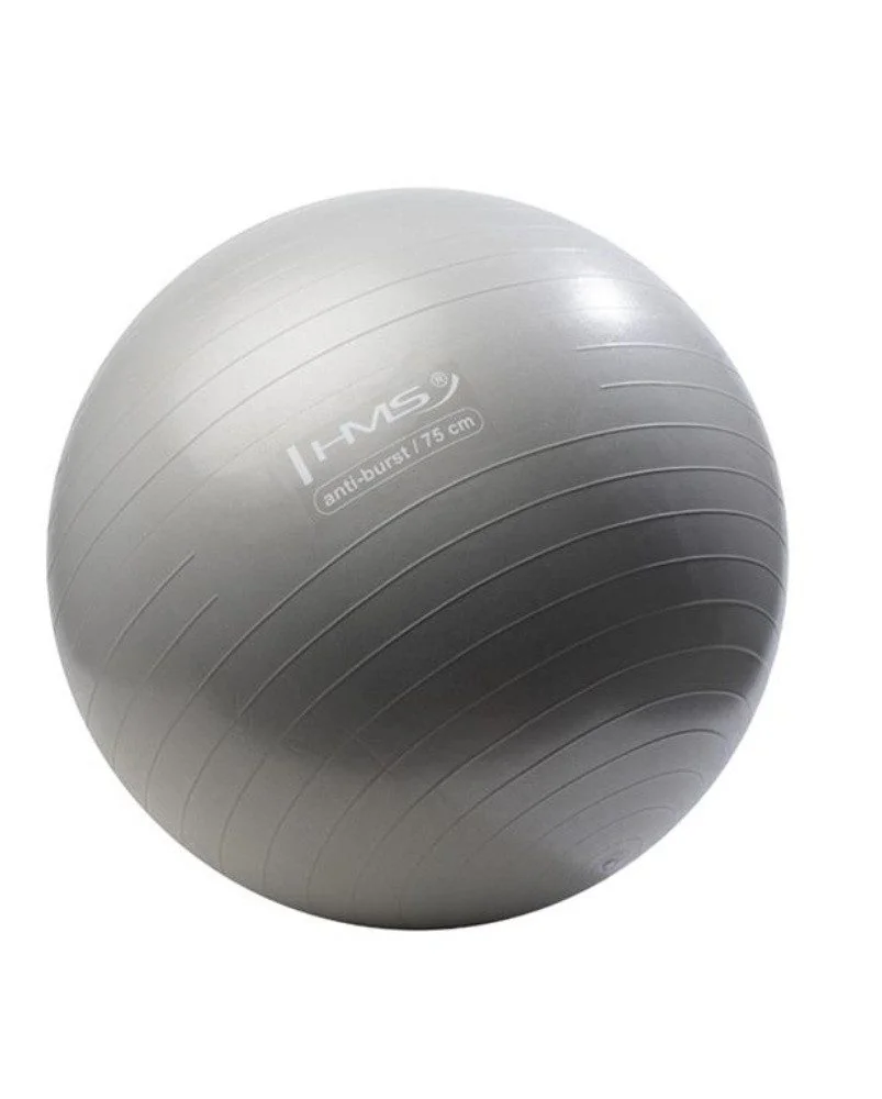 HMS Gymnastikball YB02N Anti-Burst 75 cm grau Fitnessball